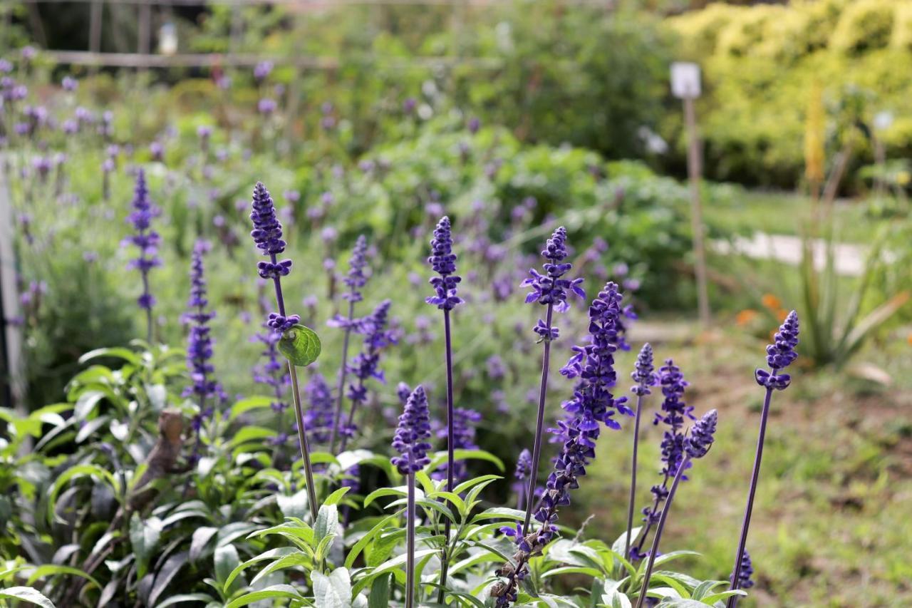 Hong Kong Gold Coast Hotel Екстериор снимка Lavender